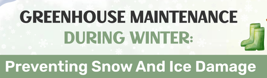 Greenhouse Maintenance During Winter: Preventing Snow And Ice Damage - Infograph