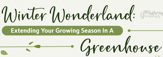 Winter Wonderland: Extending Your Growing Season in a Greenhouse - Infograph