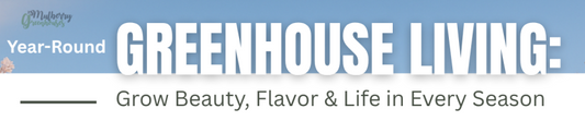 Seasonal greenhouse gardening guide by Mulberry Greenhouses with tips for planting herbs, flowers, and trees in spring, summer, autumn, and winter. Features a glass greenhouse illustration.
