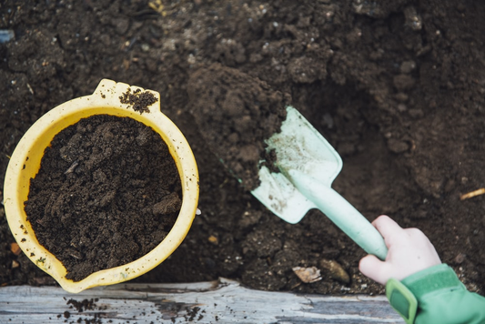 A kid playing with soil inside a greenhouse