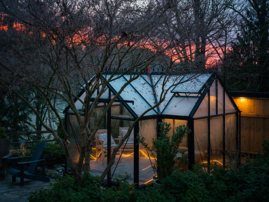 Evening view of a greenhouse illuminated with soft lights, surrounded by trees, representing eco-friendly greenhouse practices with sustainable heating and energy use.