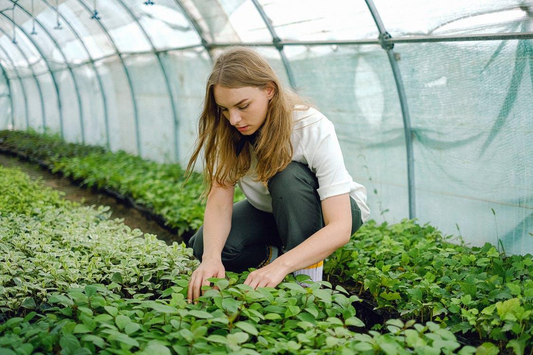 A girl taking care of her plants