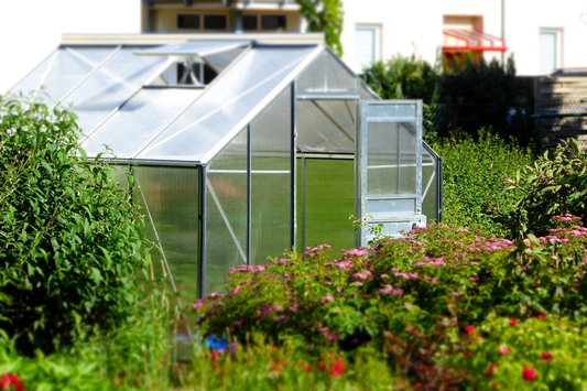 A greenhouse installed in a yard