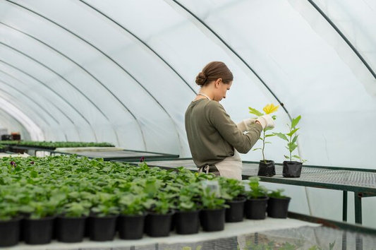 A greenhouse gardener checking her plants during winter.