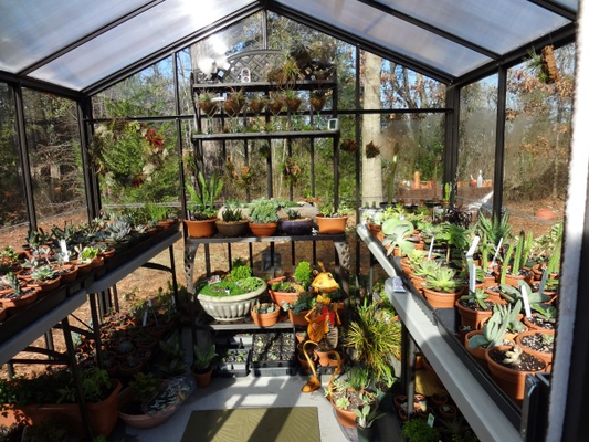 Customizes shelves and potting benches inside a Cross Country greenhouse 