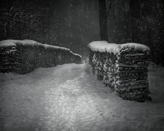 Extreme snowfall during winter