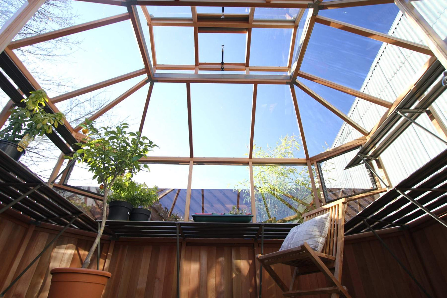 Alton Evolution Octogonal Greenhouse