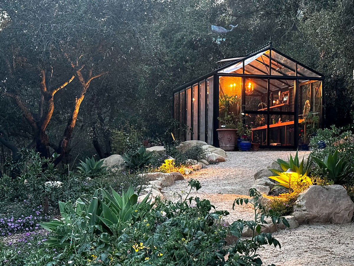 Customer photo: black Royal Victorian VI34 greenhouse glowing at twilight at the end of a gravel path in a landscaped garden
