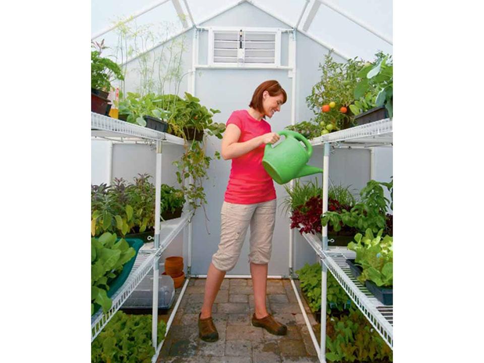 Solexx 8ft x 16ft Garden Master Greenhouse G-516