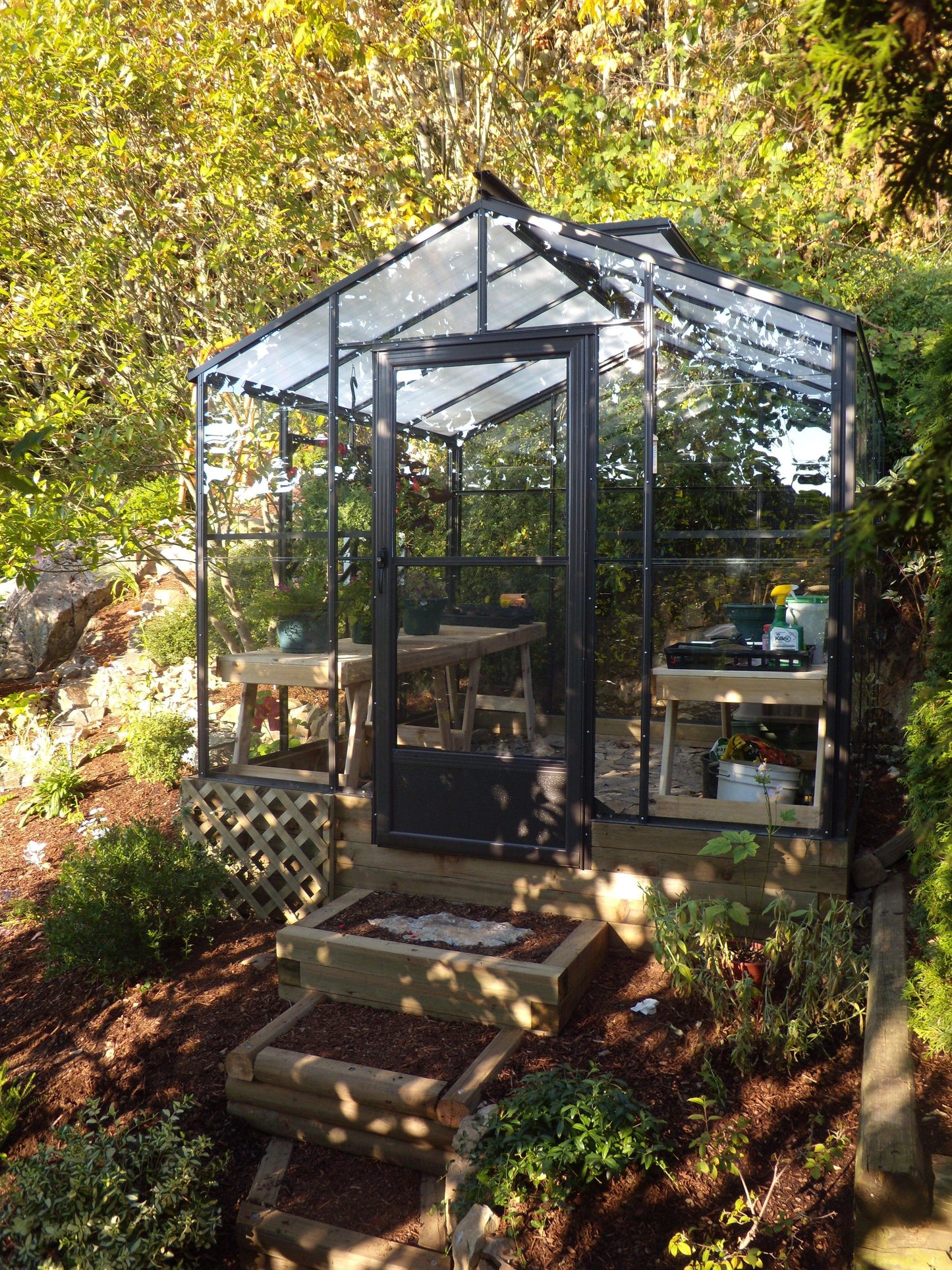 Cross Country Legacy 8X8 Glass Greenhouse with Polycarbonate Roof