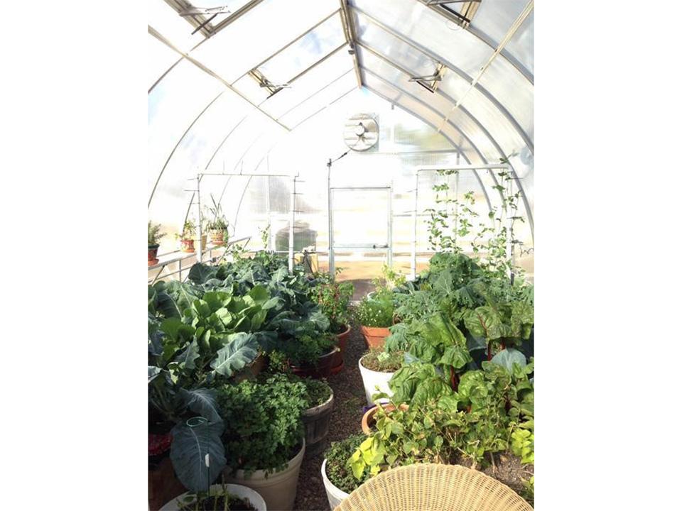 Hoklartherm Riga XL 7 Greenhouse 14x23