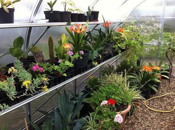Hoklartherm Riga XL 7 Greenhouse 14x23