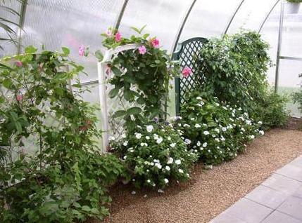 Hoklartherm Riga XL 7 Greenhouse 14x23