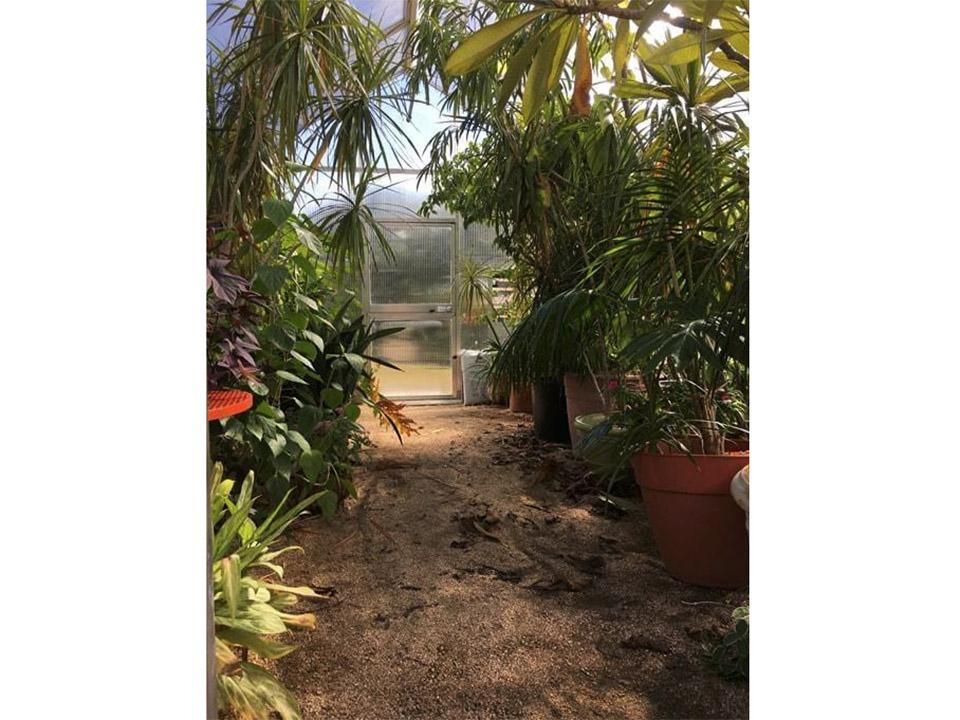 Hoklartherm Riga XL 7 Greenhouse 14x23