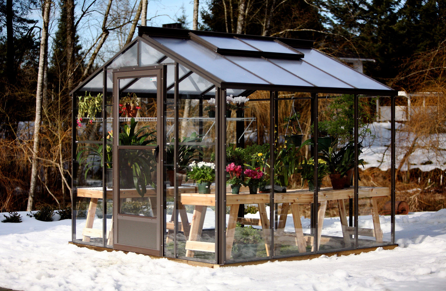 Cross Country Legacy 8X8 Glass Greenhouse with Polycarbonate Roof