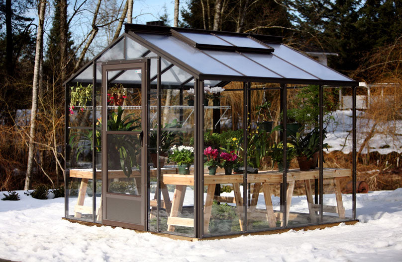 Cross Country Legacy 8X8 Glass Greenhouse with Polycarbonate Roof