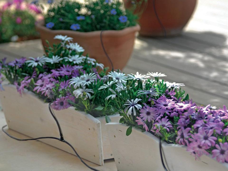 Riverstone MONT Greenhouse 8x20 - Growers Edition