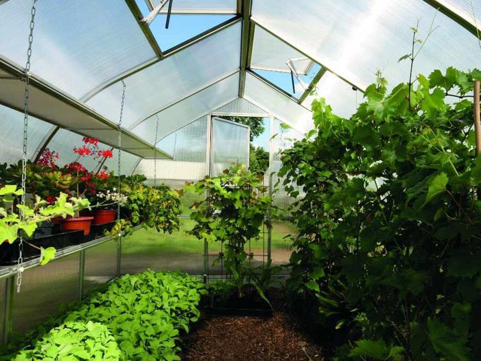 Riga Greenhouse Seed Trays – interior view, photo 3 of 3