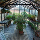 Exaco Janssens Royal Victorian VI36 Greenhouse 10ft x 20ft