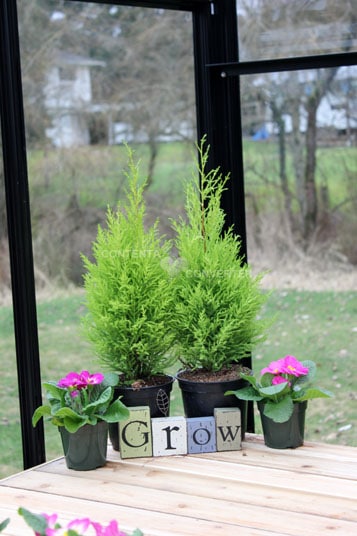 Cross Country Parkside 8X12 Glass Greenhouse