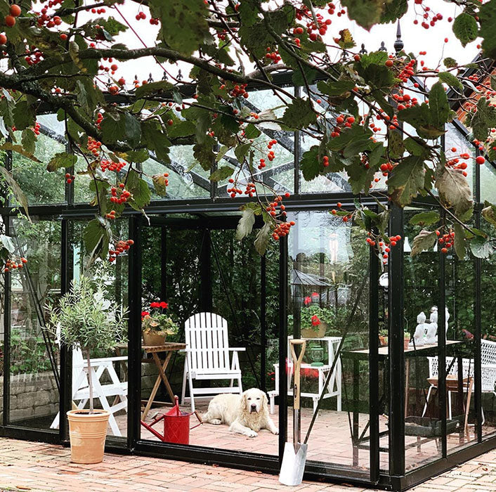 Exaco Janssens Modern M23 Greenhouse 8ft x 10ft