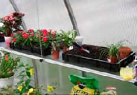 Riga Greenhouse Heavy Duty Seed Trays – photo 2 of 4