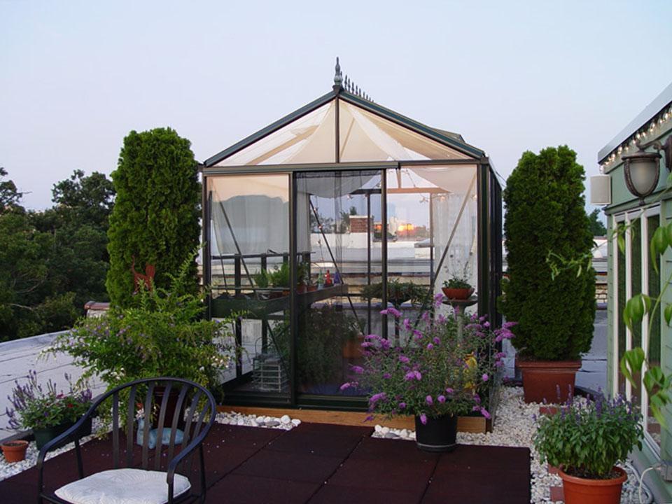 Exaco Janssens Royal Victorian VI 23 Greenhouse 8ft x 10ft