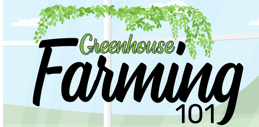 Greenhouse - Farming 101 - Infograph
