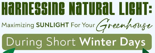 Harnessing Natural Light: Maximizing Sunlight for Your Greenhouse During Short Winter Days