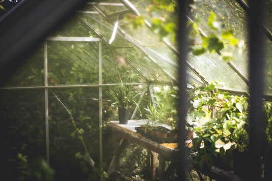 Riga, Monticello, Solexx— The Right Greenhouse for You