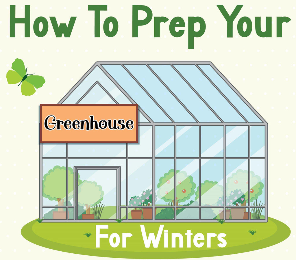 How to prep your greenhouse for winters - Infograph