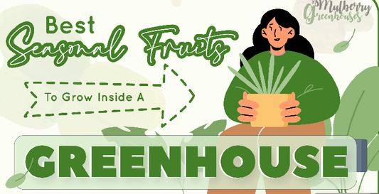 Best Seasonal Fruits To Grow Inside A Greenhouse - Infograph