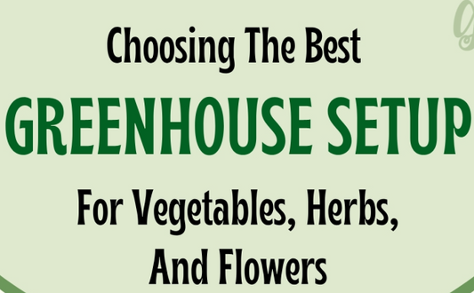 Choosing The Best Greenhouse Setup For Vegetables, Herbs, And Flowers - Infograph