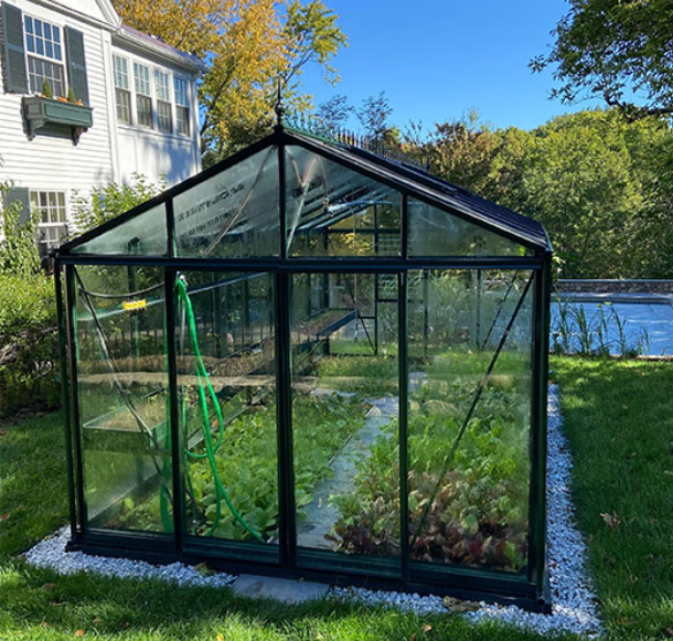 An Exaco VI36 greenhouse installed in a home garden