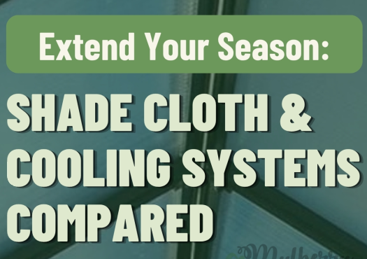 Extend Your Season: Shade Cloth & Cooling Systems Compared - Infograph