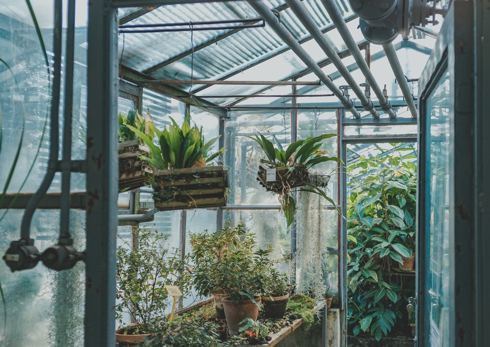 A Guide To Building A Greenhouse On A Stem Wall: What You Need To Know ...