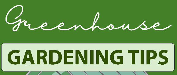 Greenhouse Gardening Tips - Infograph