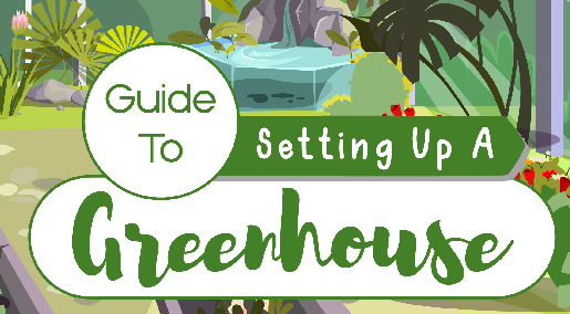 Guide To Setting Up A Greenhouse - Infograph