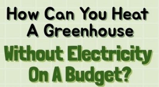 How Can You Heat a Greenhouse Without Electricity on a Budget?