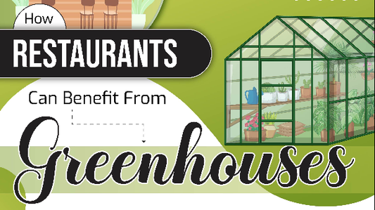 How Restaurants Can Benefit from Greenhouses - Infograph