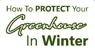How To Protect Your Greenhouse In Winter - Infograph