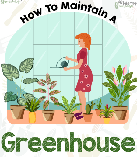 How to Maintain a Greenhouse - Infograph