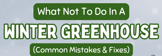 What NOT To Do In A Winter Greenhouse (Common Mistakes & Fixes)
