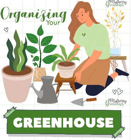 Organizing your Greenhouse - Infograph