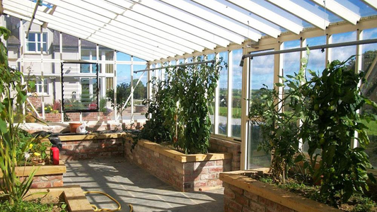 Luscious plants inside an Arcadia Lean-to greenhouse