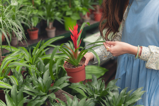 A woman holding a pot 