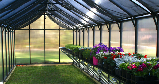 A high-quality MONT greenhouse