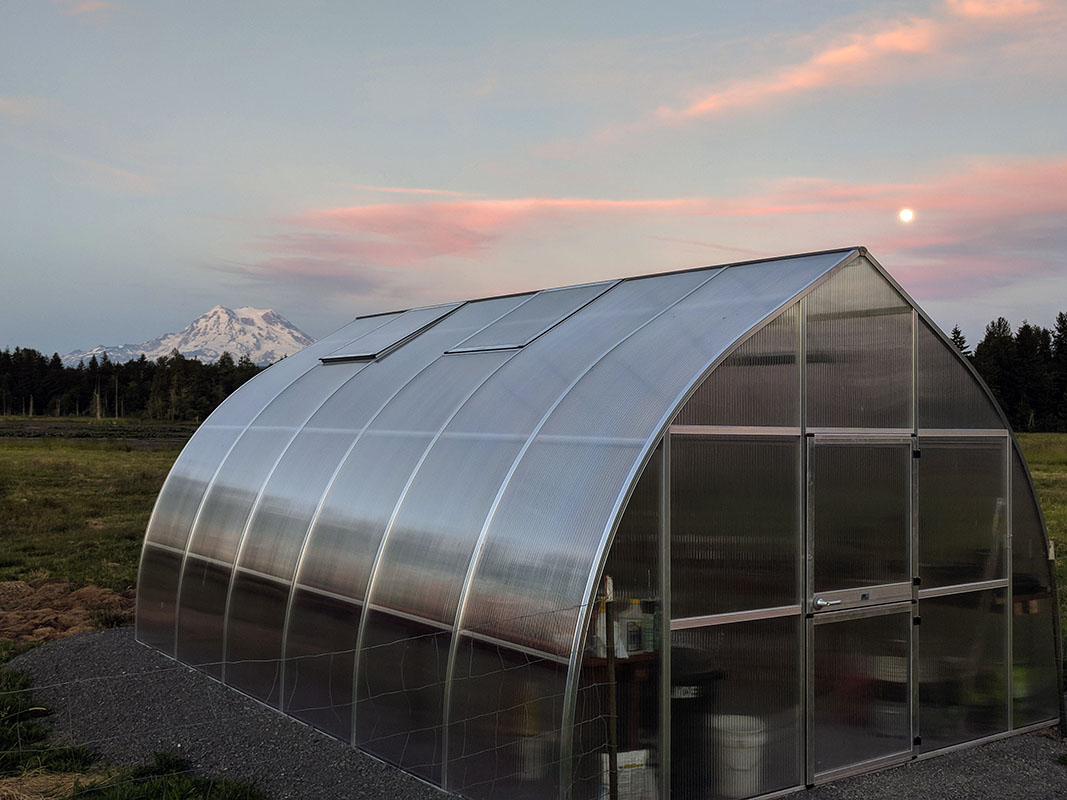 A Riga XL greenhouse