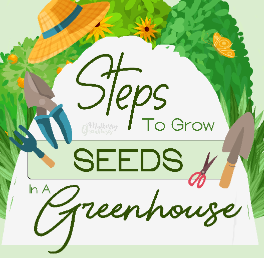 Steps To Grow Seeds In A Greenhouse - Infograph