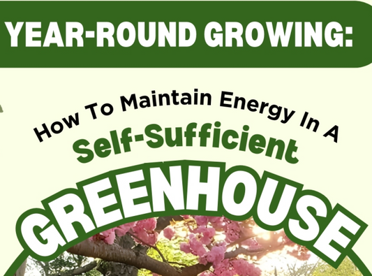 Year-Round Growing: How to Maintain Energy in a Self-Sufficient Greenhouse - Infograph